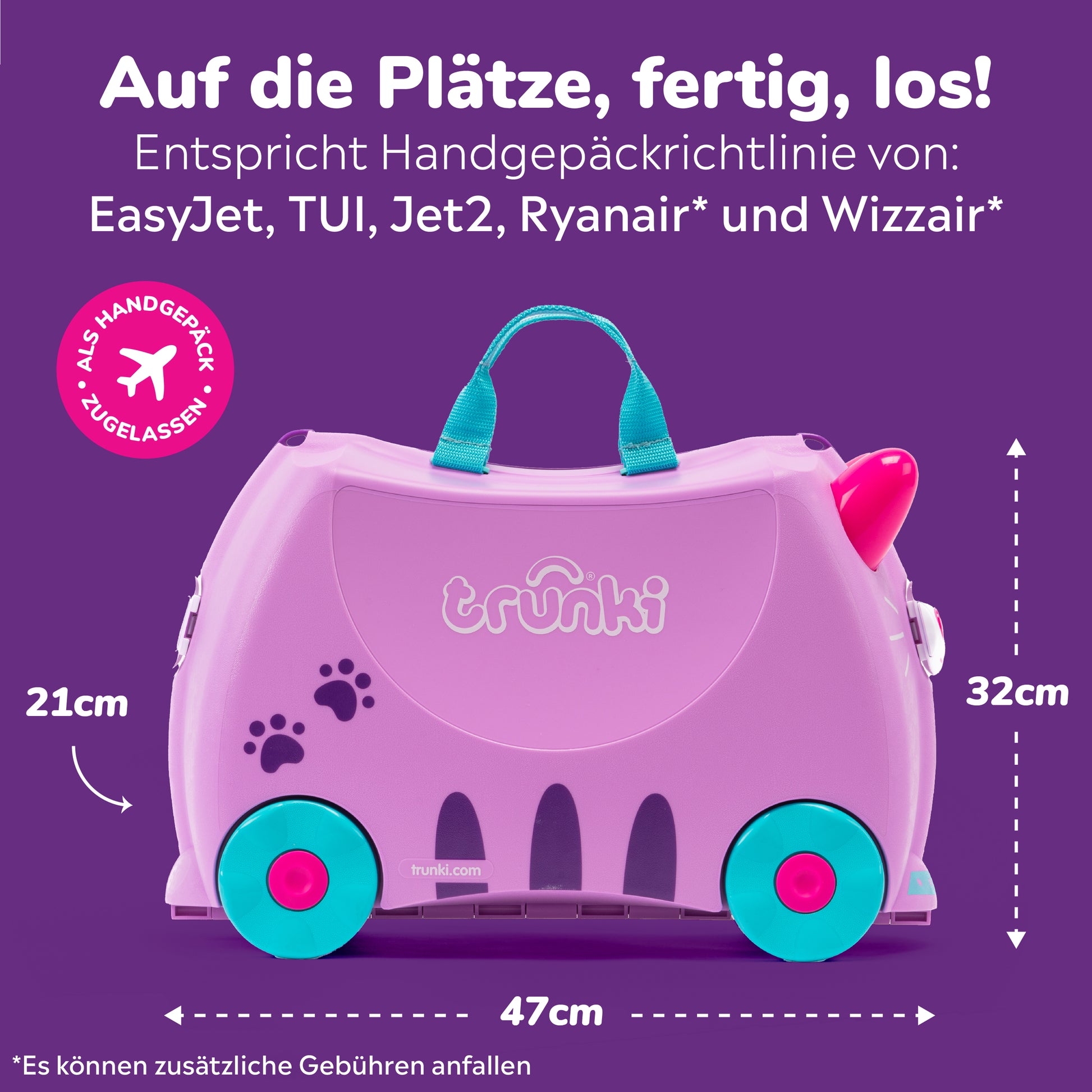 Cassie-die-Katze-Trunki-bild3